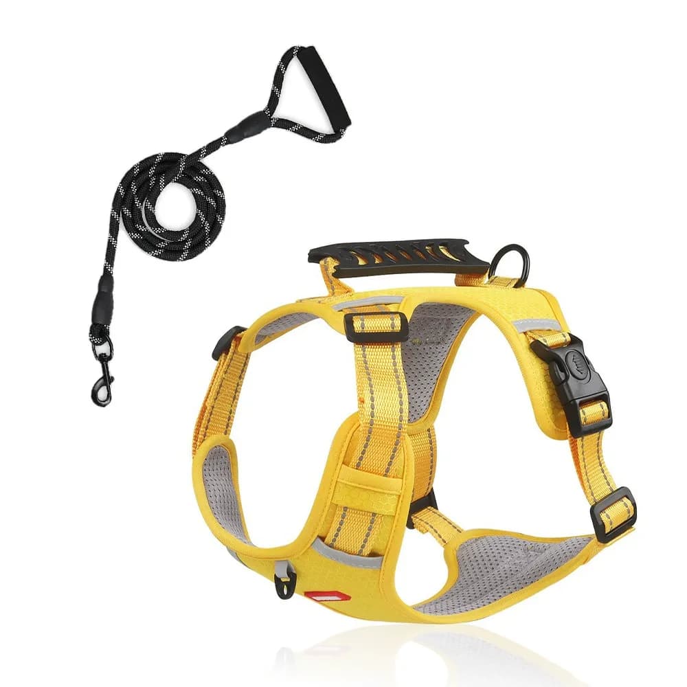 Northpath Control Dog Harness & Leash Set