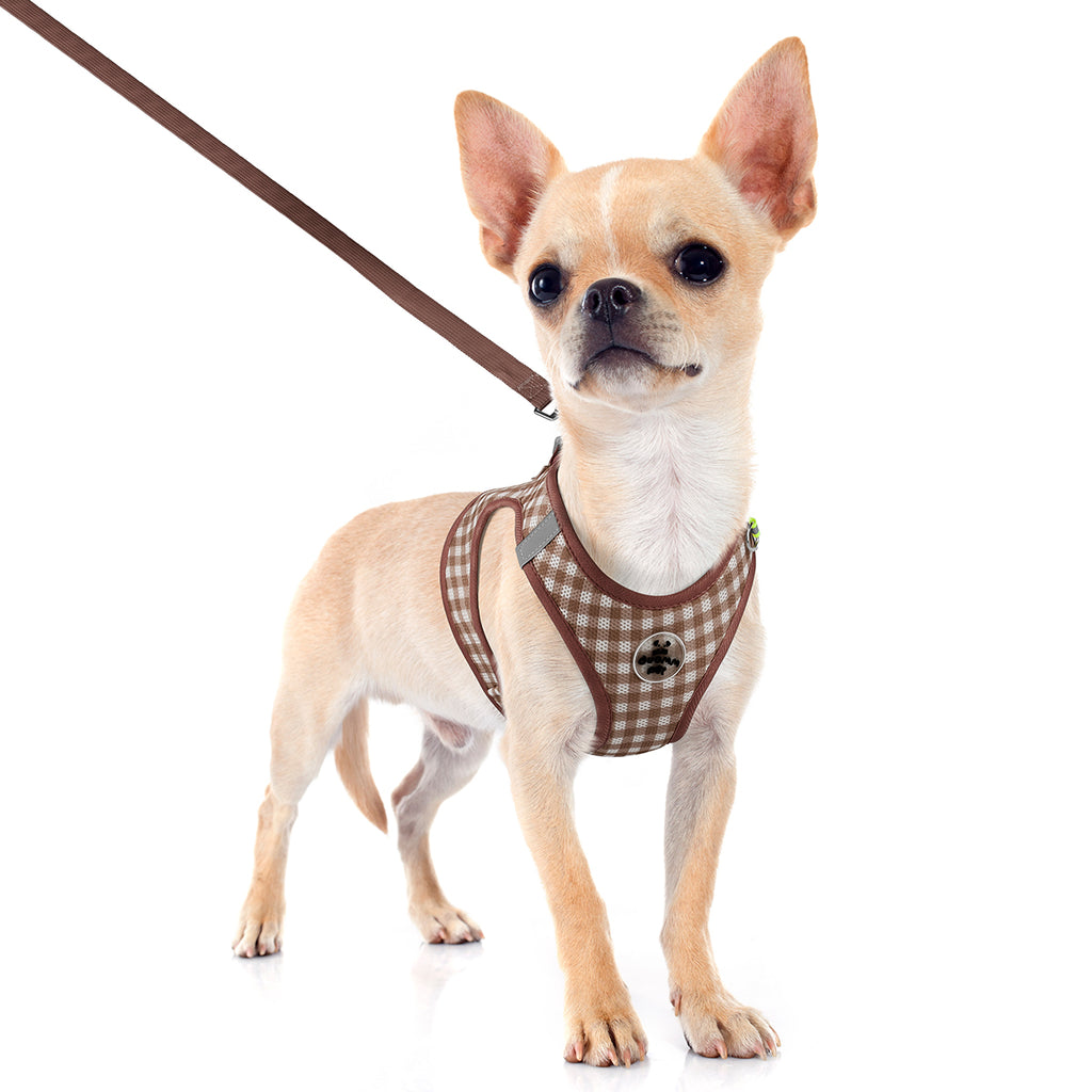 Classic Check Comfort Pet Harness and Leash Set