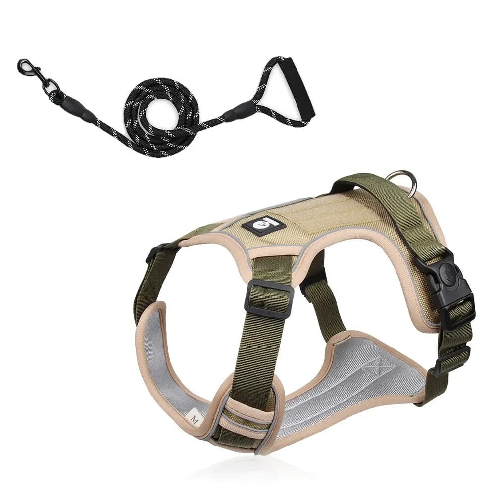 Motion Arc Reflective Harness & Leash Set