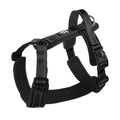 Core Walk Adjustable No-Pull Dog Harness