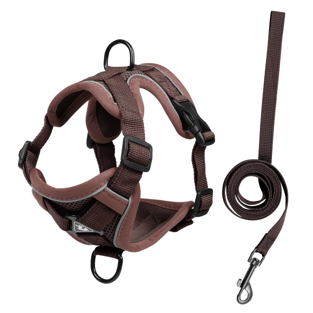 Feather Fit Breathable Pet Harness and Leash Set