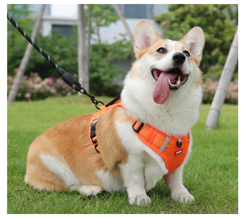 Northpath Control Dog Harness & Leash Set