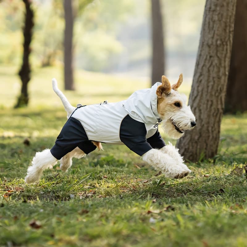 Lightweight Full Coverage Dog Rain Jacket