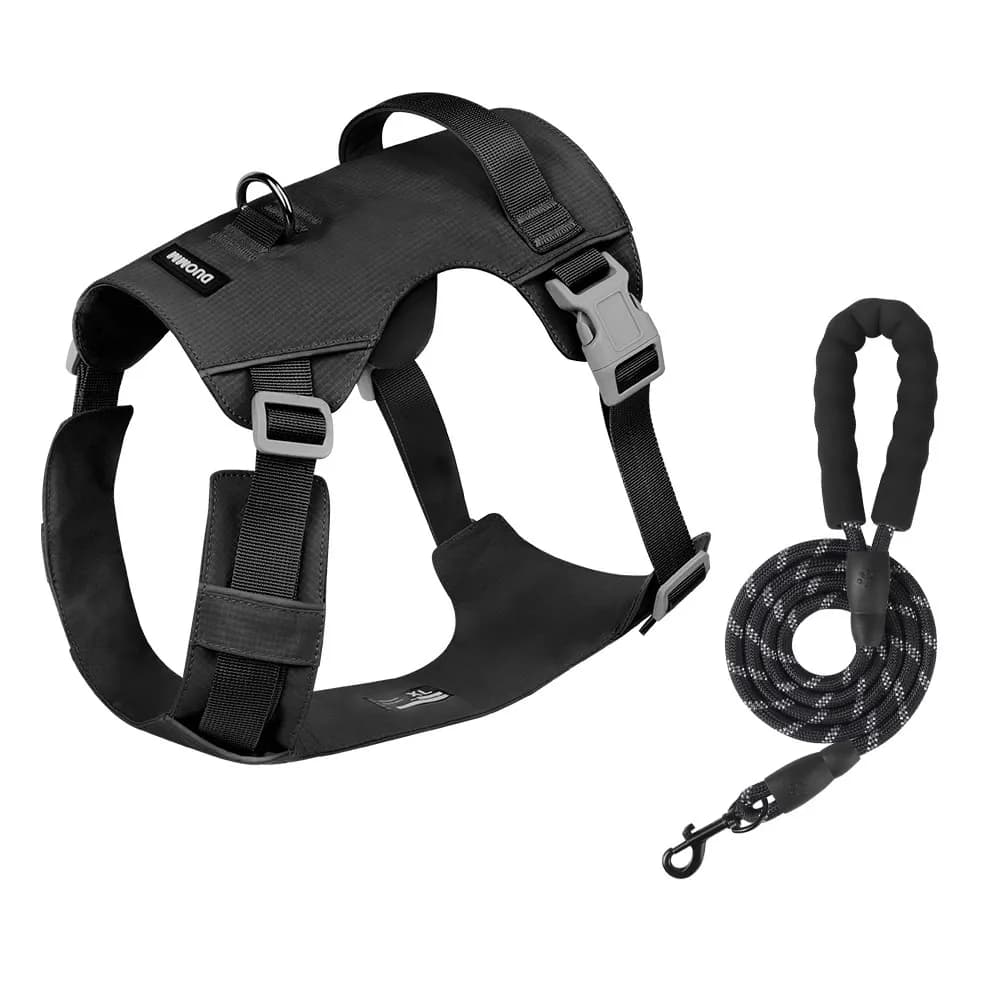 Coast Flow Quick-Dry Dog Harness & Leash Set