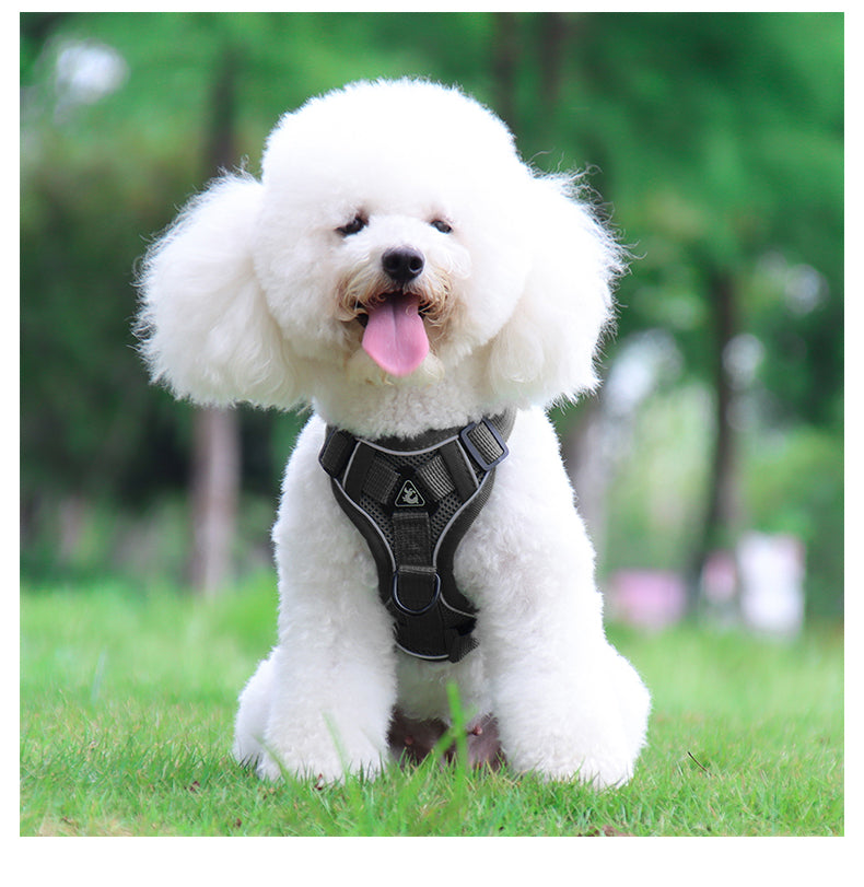 Feather Fit Breathable Pet Harness and Leash Set