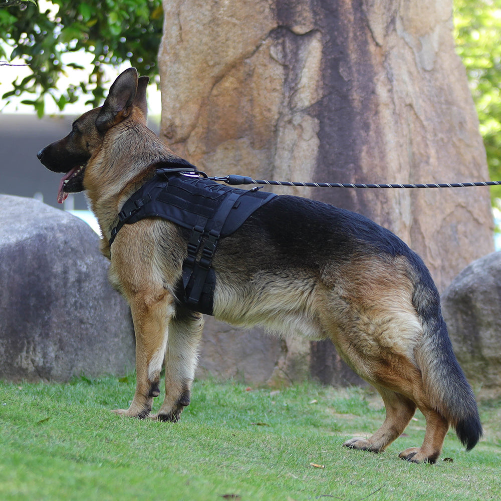 Summit Control Tactical Dog Harness with Handle
