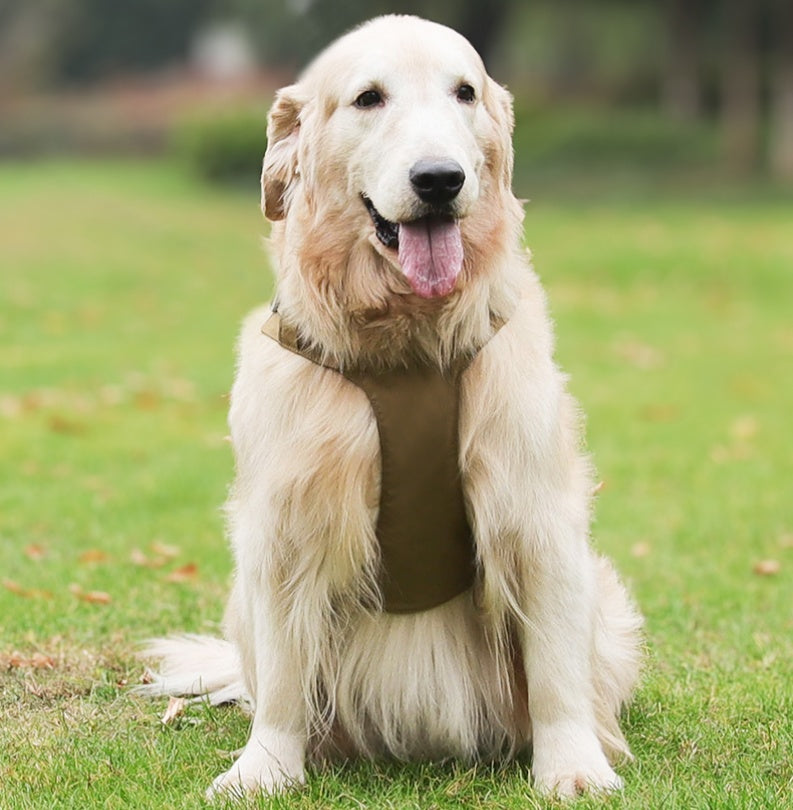 Aero Run Lightweight Reflective Dog Harness