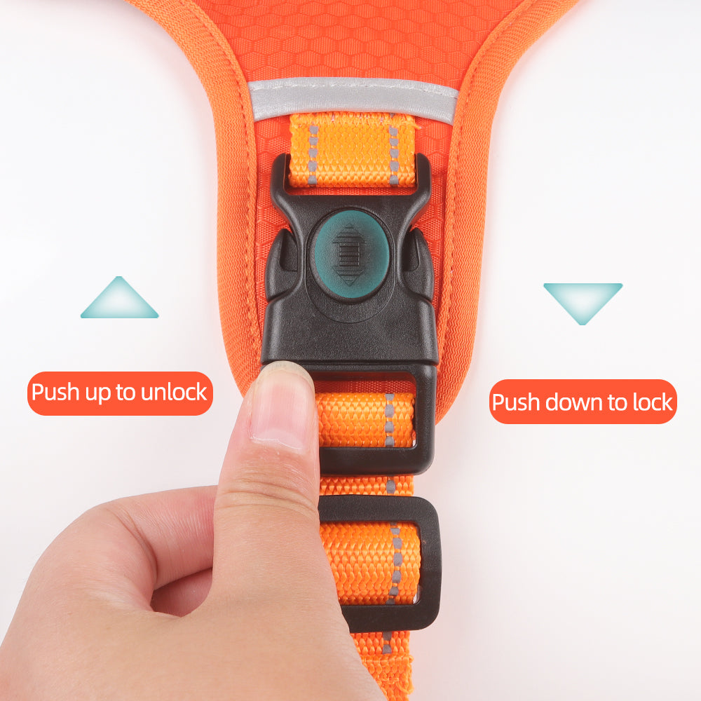 Northpath Control Dog Harness & Leash Set