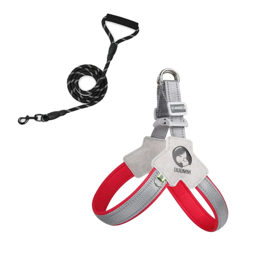 Daybeam Reflective Harness & Leash Set