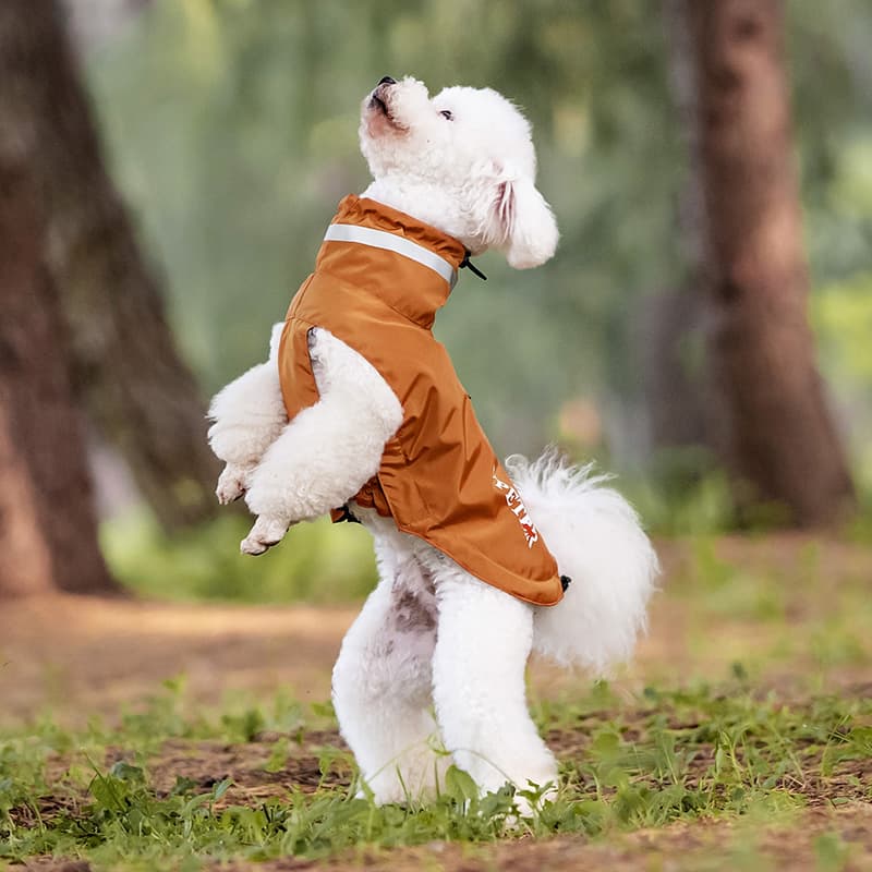 Lightweight Waterproof Dog Outdoor Jacket