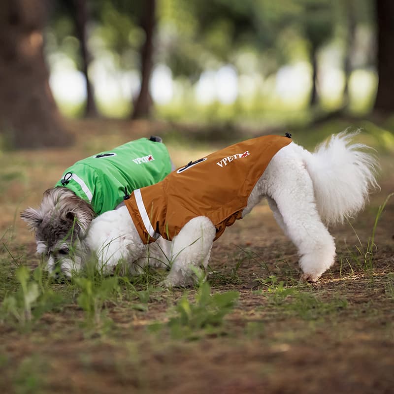 Lightweight Waterproof Dog Outdoor Jacket