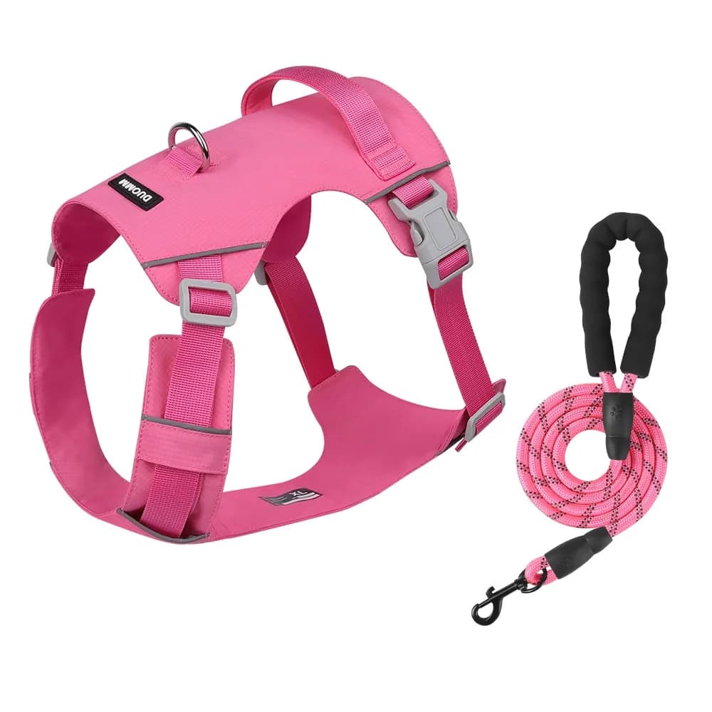 Coast Flow Quick-Dry Dog Harness & Leash Set
