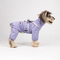 All-Weather Dog Adventure Suit