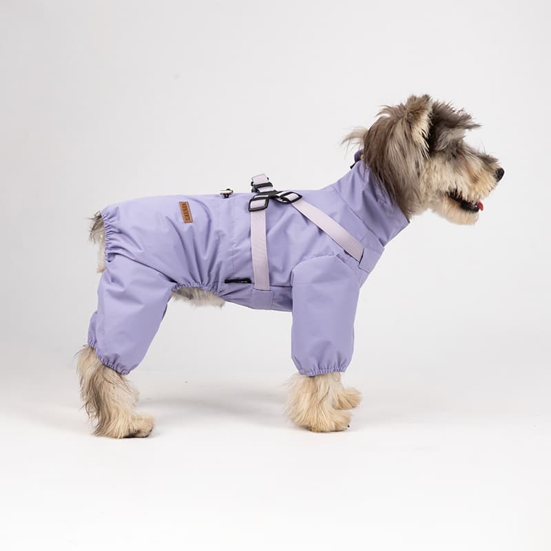 All-Weather Dog Adventure Suit