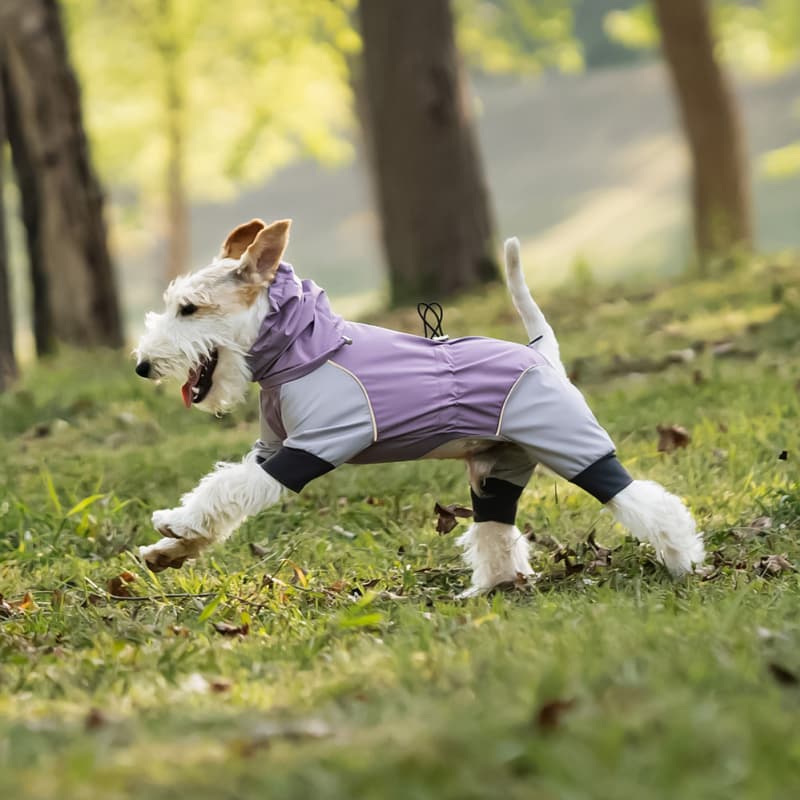 Lightweight Full Coverage Dog Rain Jacket