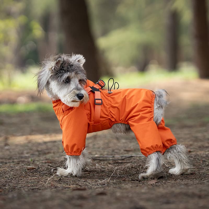 All-Weather Dog Adventure Suit