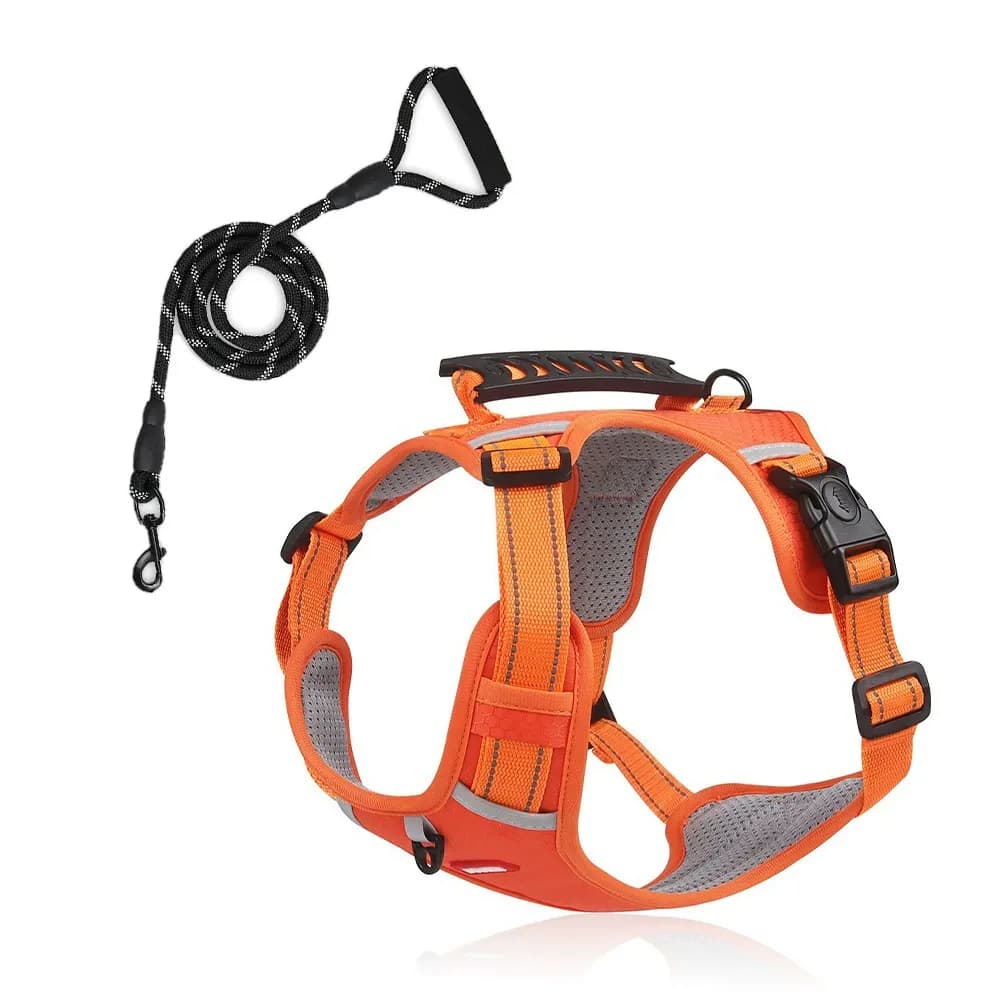 Northpath Control Dog Harness & Leash Set