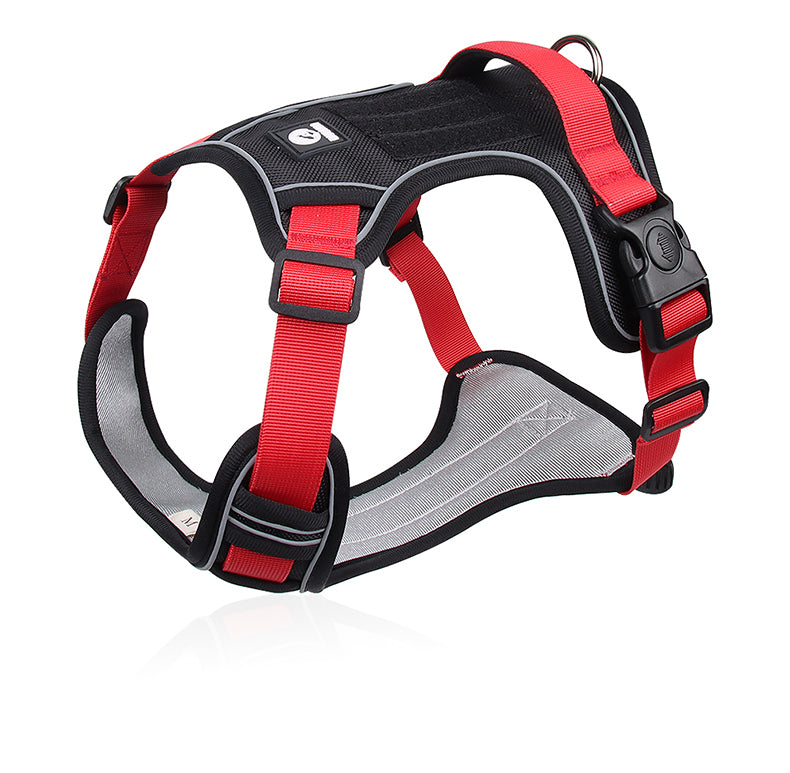 Canyon Ease Padded Dog Harness with Handle