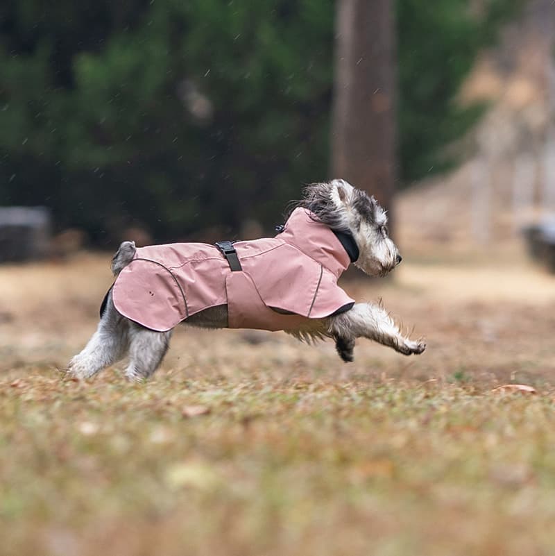 Breathable Dog Adventure Rain Coat