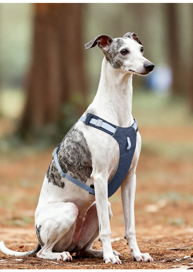 Trail Air Lightweight Reflective Dog Harness
