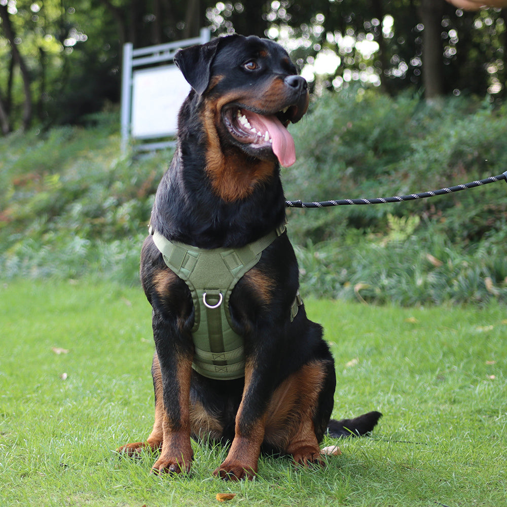 Summit Control Tactical Dog Harness with Handle