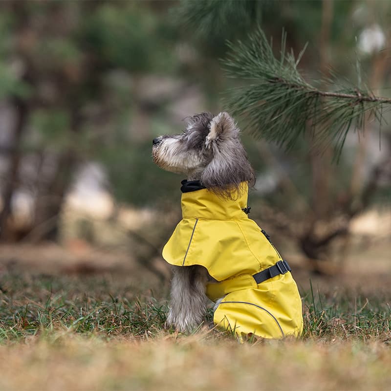 Breathable Dog Adventure Rain Coat