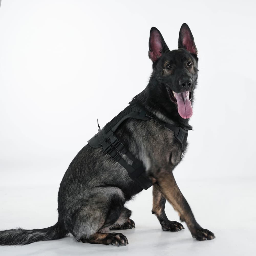 Summit Control Tactical Dog Harness with Handle
