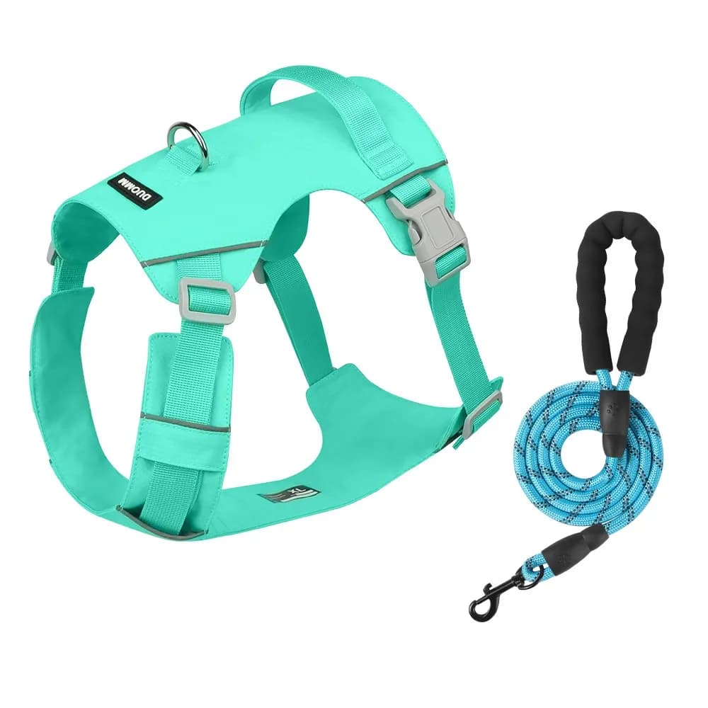 Coast Flow Quick-Dry Dog Harness & Leash Set