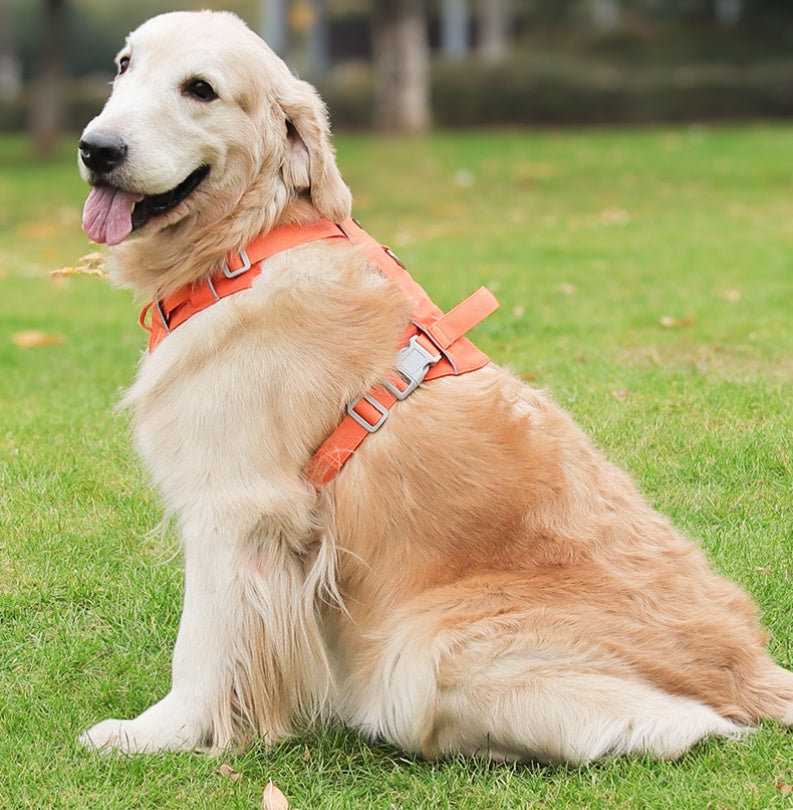 Aero Run Lightweight Reflective Dog Harness