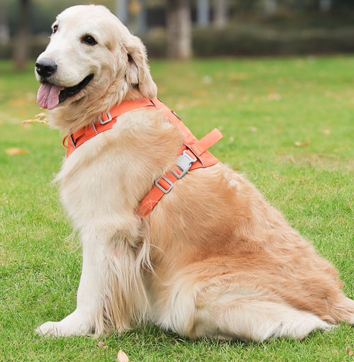 Aero Run Lightweight Reflective Dog Harness