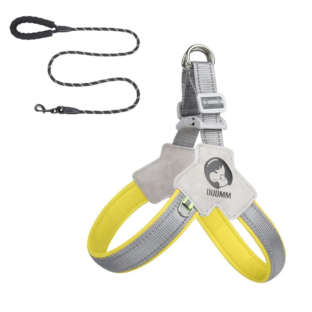 City Halo Reflective Harness & Leash Set