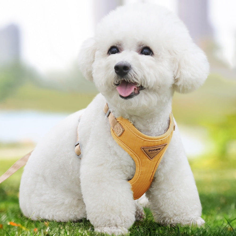 Soft Form Escape-Resistant Pet Harness and Leash Set