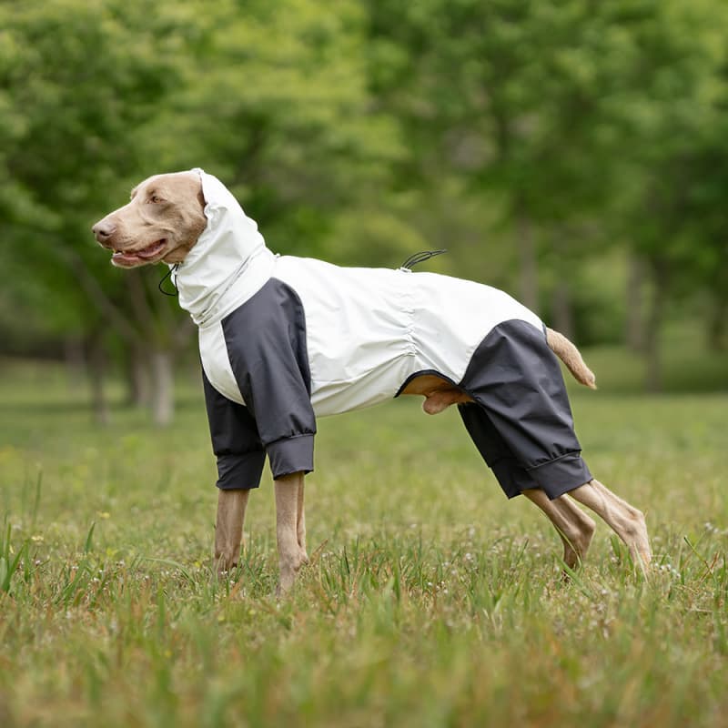 Lightweight Full Coverage Dog Rain Jacket