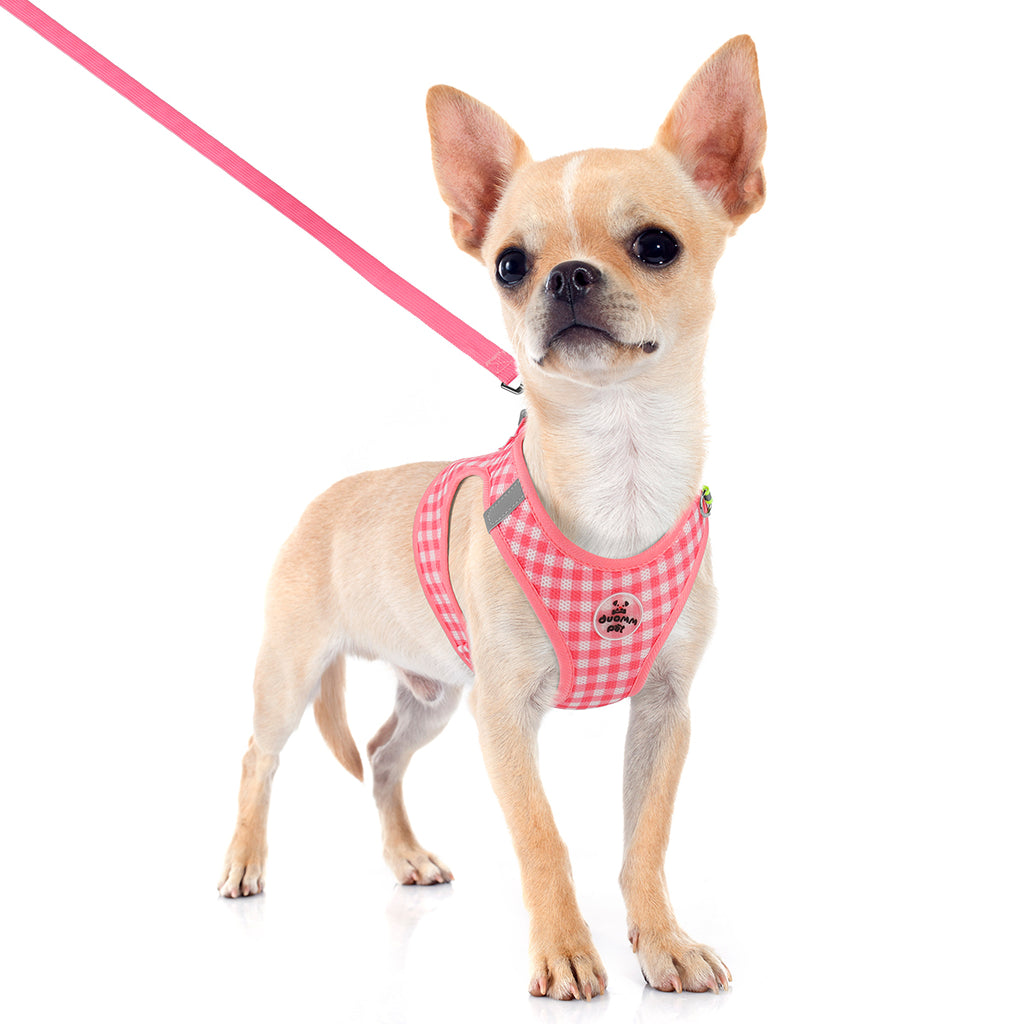 Classic Check Comfort Pet Harness and Leash Set