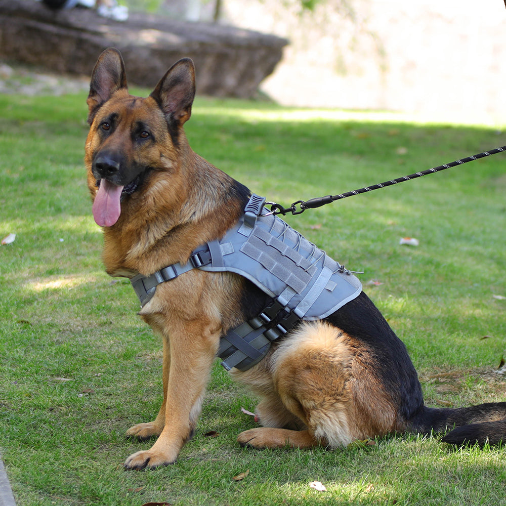 Summit Control Tactical Dog Harness with Handle