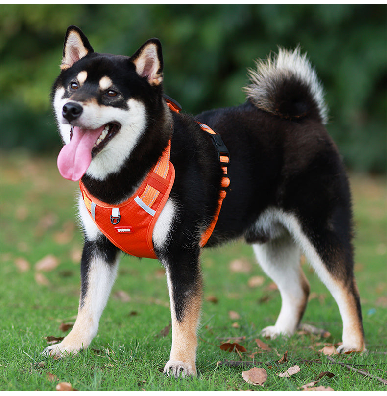 Ridge Guide Reflective Dog Harness and Leash Set