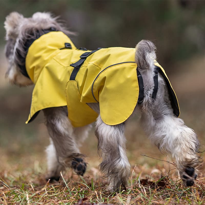 Breathable Dog Adventure Rain Coat
