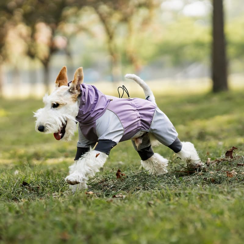 Lightweight Full Coverage Dog Rain Jacket
