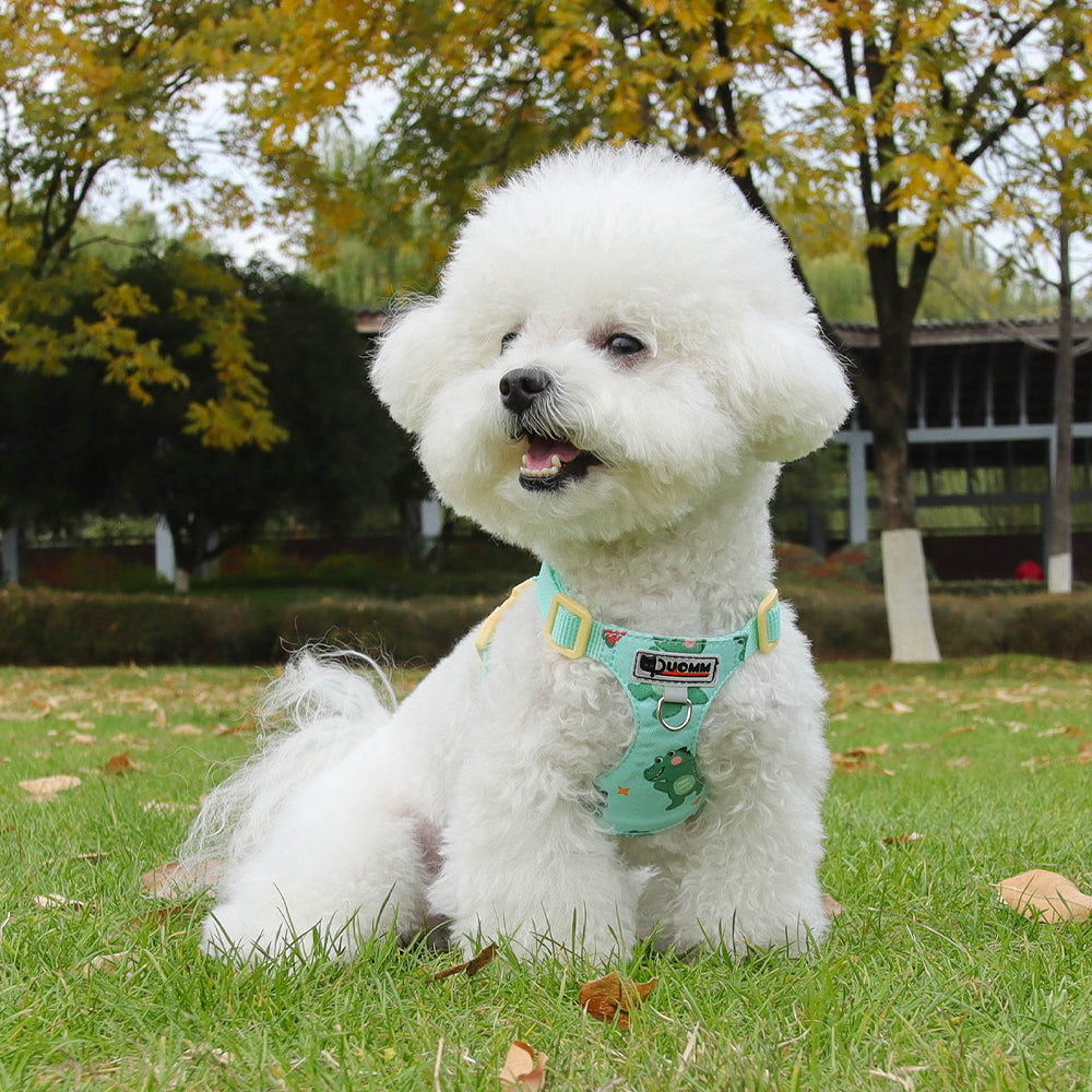 Playful Print Step-In Pet Harness and Leash Set
