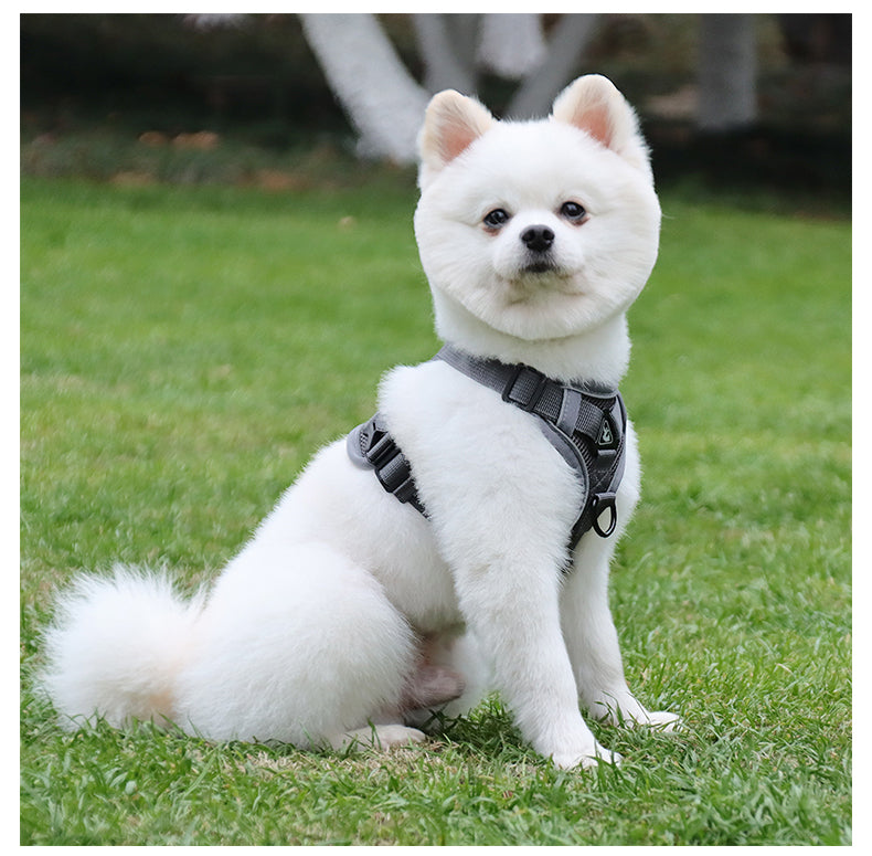 Feather Fit Breathable Pet Harness and Leash Set