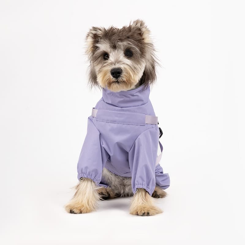 All-Weather Dog Adventure Suit