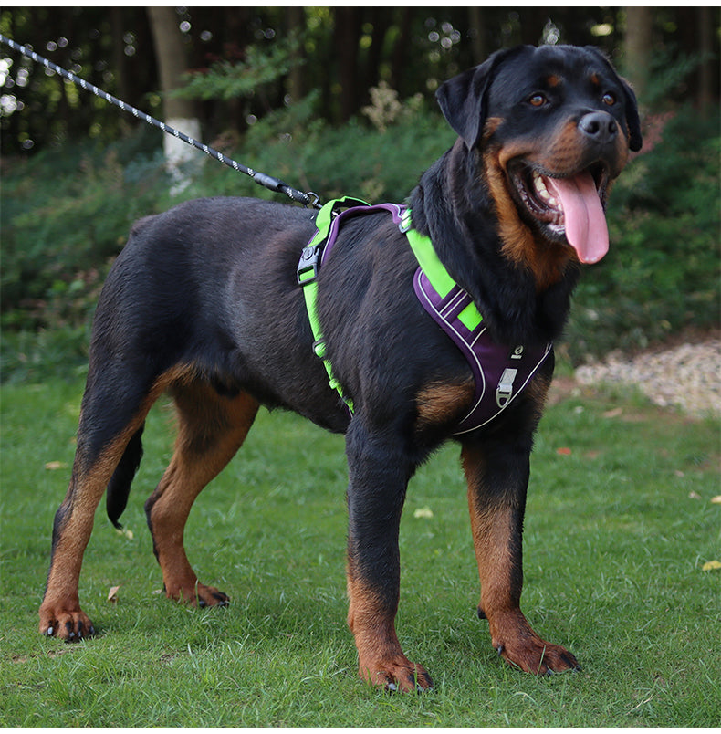 Overland Fit Padded Dog Harness and Leash Set