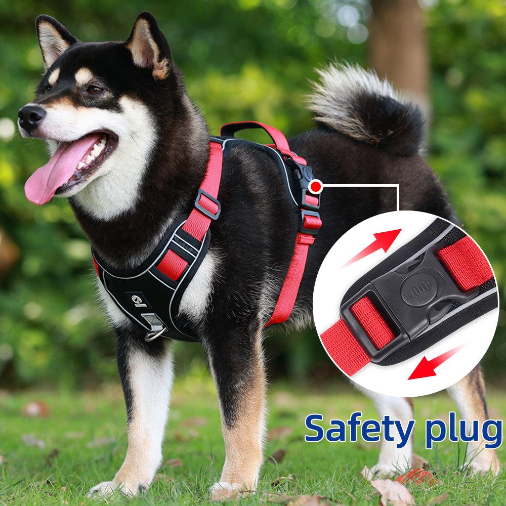 Overland Fit Padded Dog Harness and Leash Set