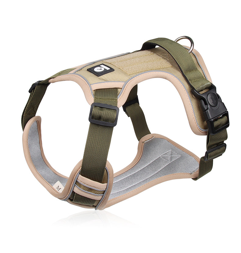 Canyon Ease Padded Dog Harness with Handle