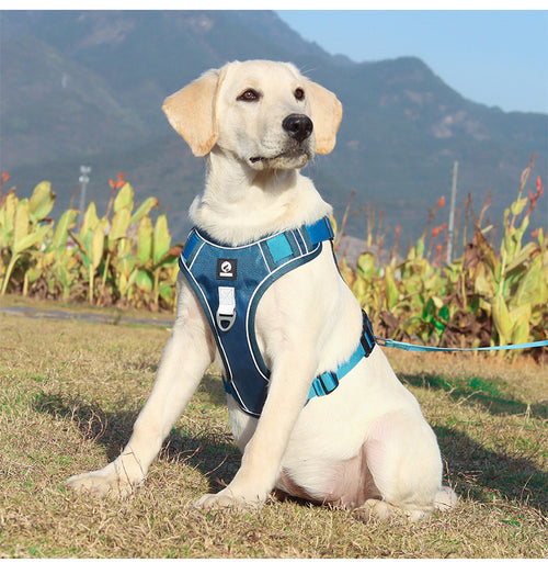 Canyon Ease Padded Dog Harness with Handle