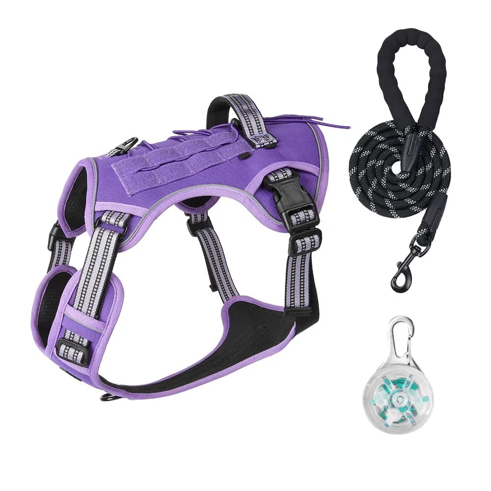 Luma Guard LED Dog Harness & Leash Set