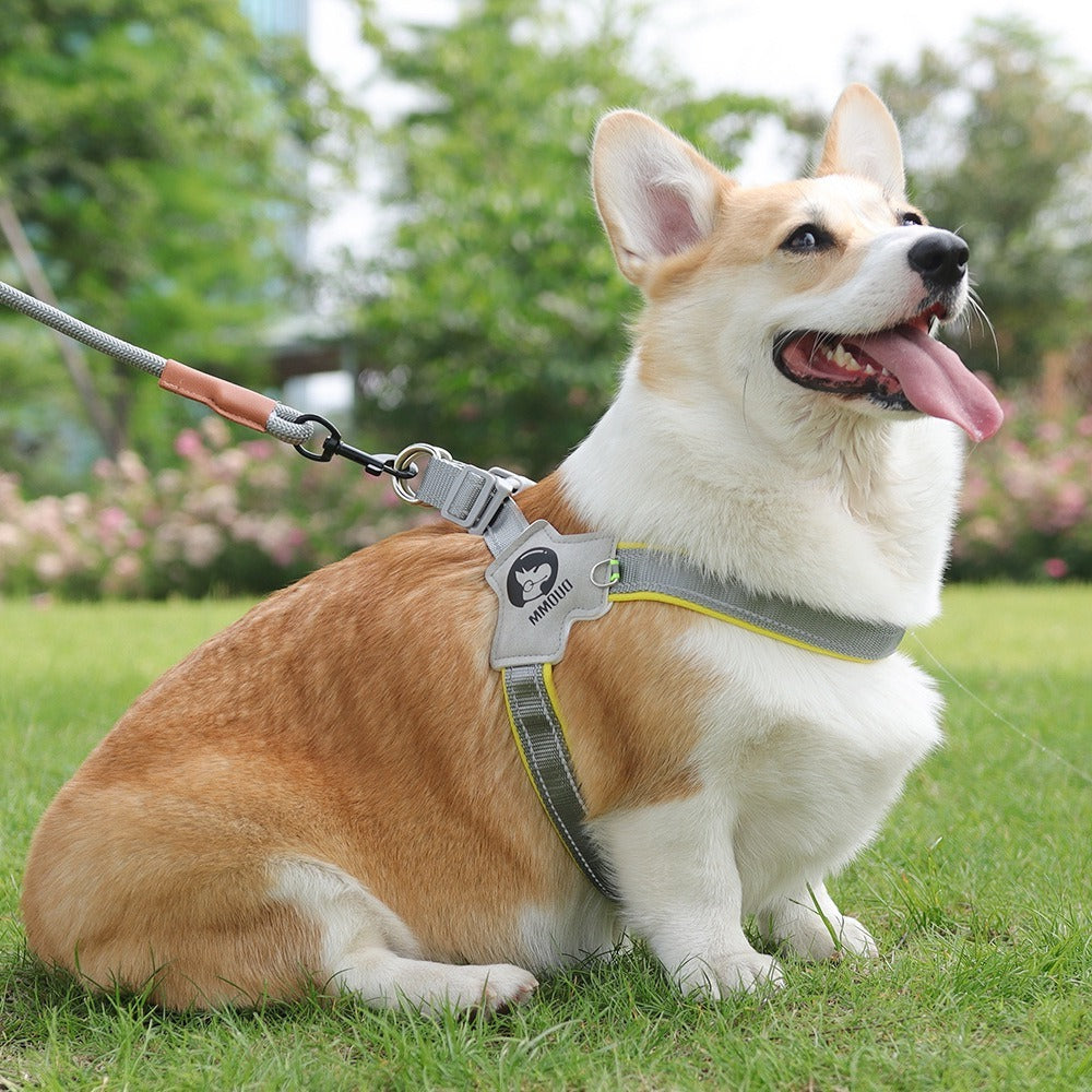 City Halo Reflective Harness & Leash Set