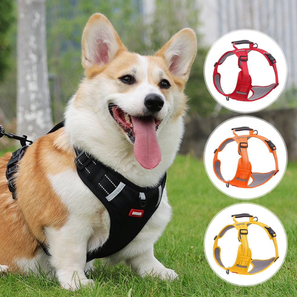 Northpath Control Dog Harness & Leash Set