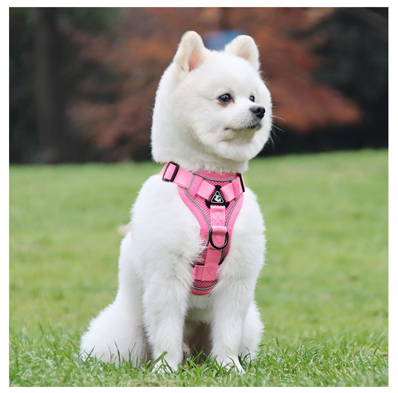 Feather Fit Breathable Pet Harness and Leash Set