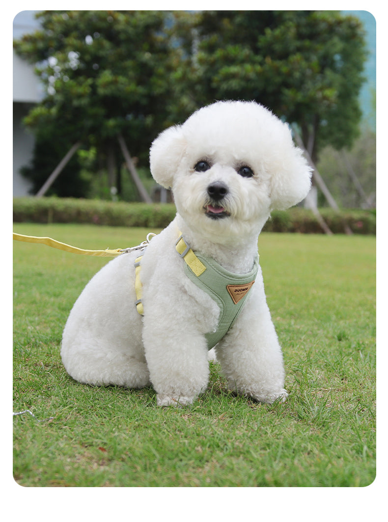 Soft Form Escape-Resistant Pet Harness and Leash Set